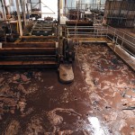 Cattle Raceway-CuthbertsonBros-Nov2015-107